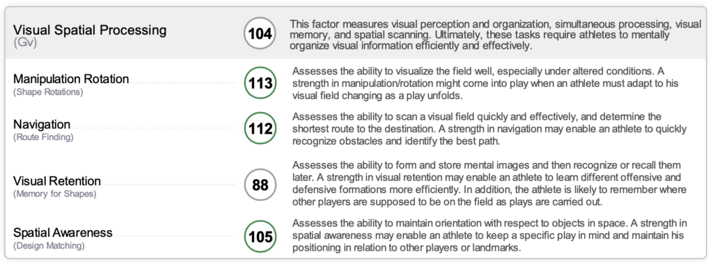 Visual spatial processing score of 104, manipulation rotation score of 113, navigation score of 112, visual retention score of 88 and spatial awareness score of 105