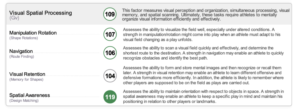 visual spatial processing score of 109, manipulation rotation score of 107, navigation score of 106, visual retention score of 104 and spatial awareness score of 119