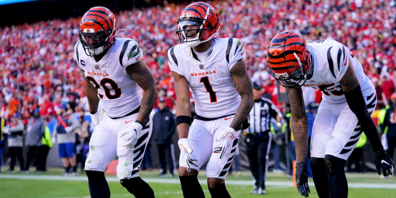 How The Bengals Rebuilt From Worst To First In Two Years