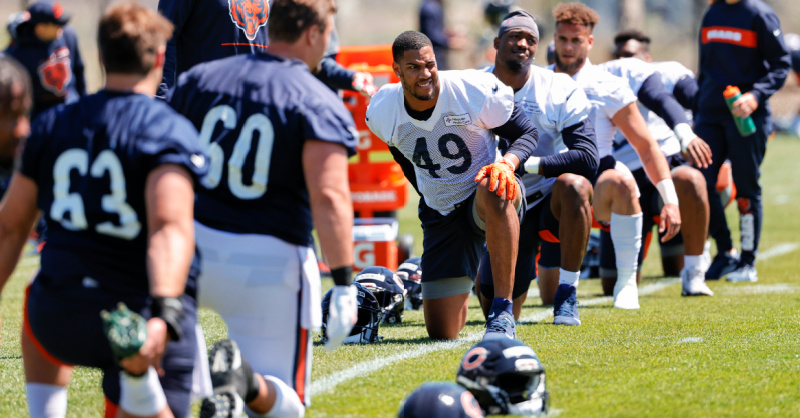 Chicago Bears Optimism