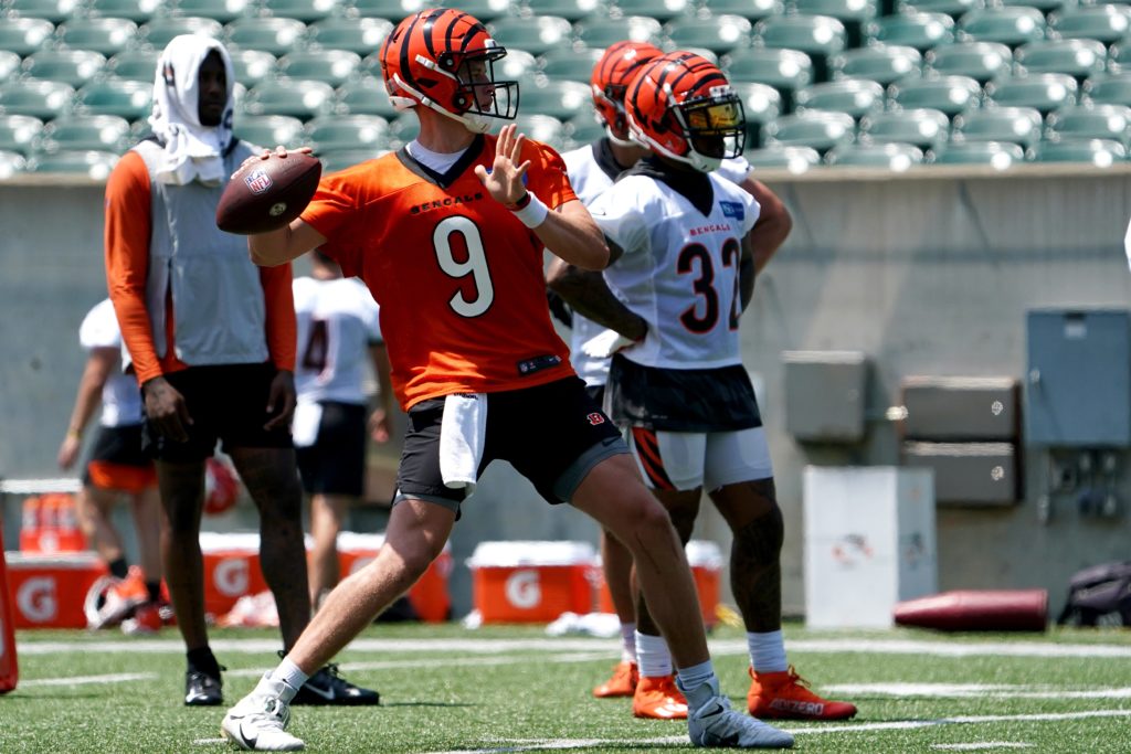 Cincinnati Bengals Team Preview