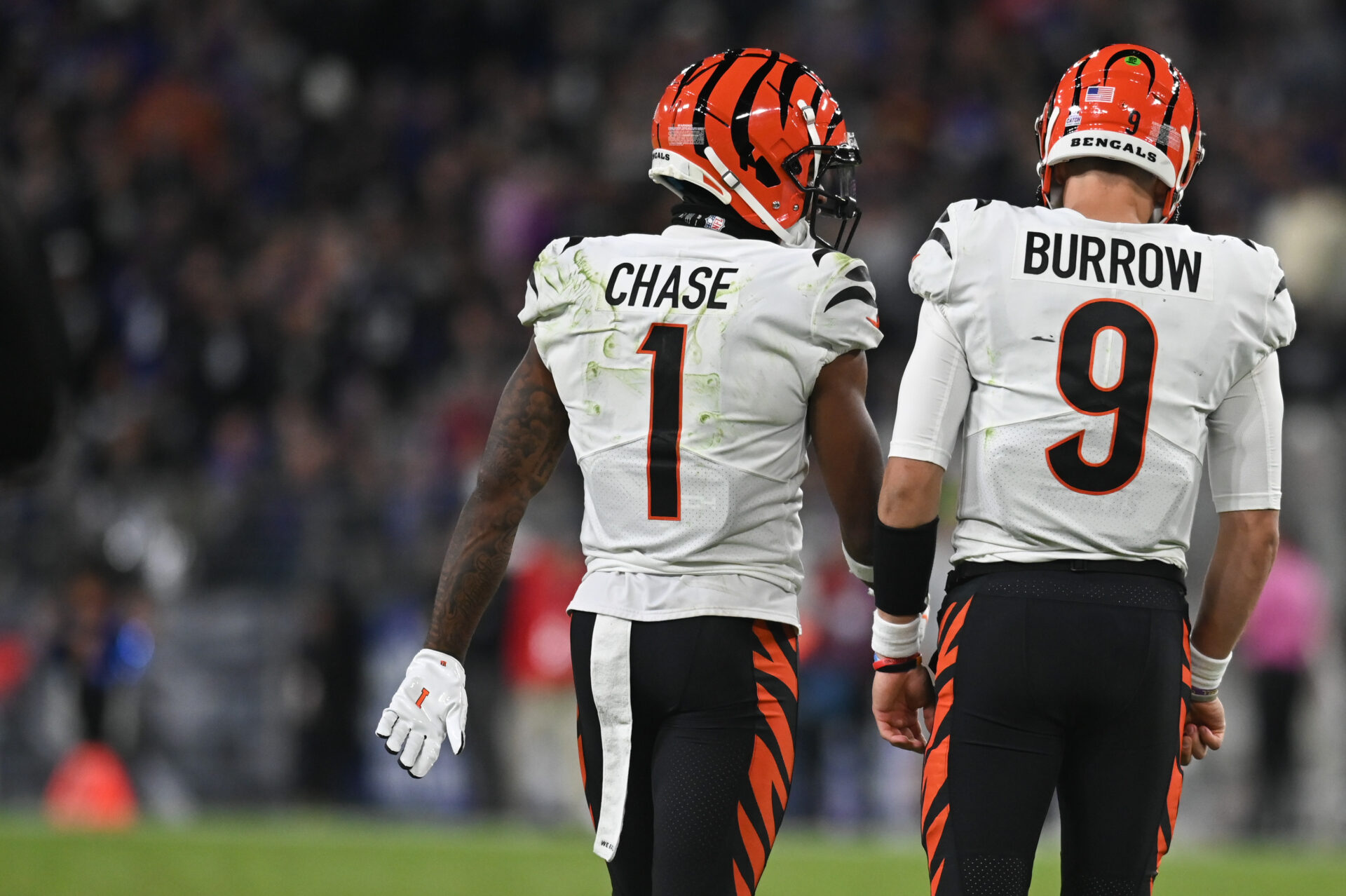 Burrow and Chase