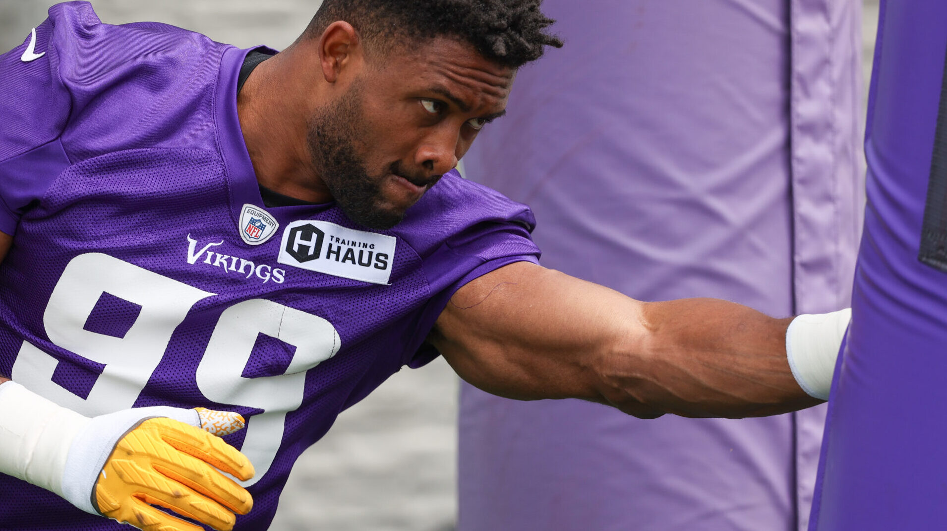 minnesota vikings danielle hunter