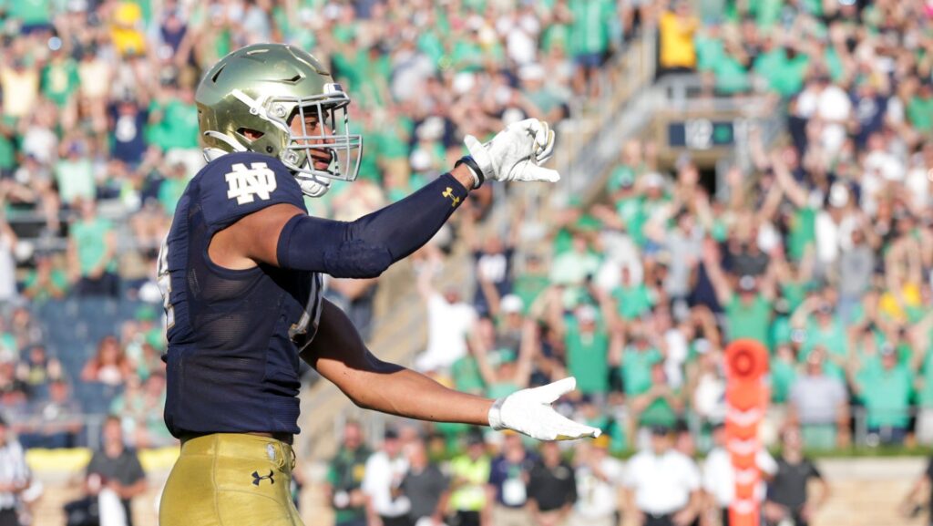 Notre Dame safety Kyle Hamilton