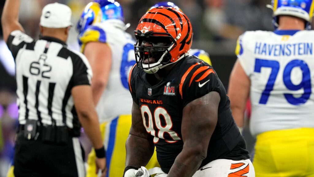 Cincinnati Bengals nose tackle D.J. Reader