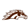 Western Michigan Broncos logo